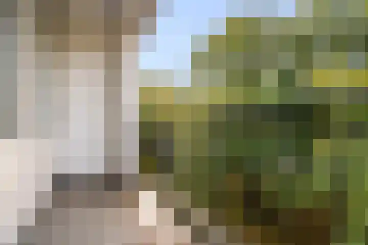 Savelsbos 20 Amsterdam thumbnail 17