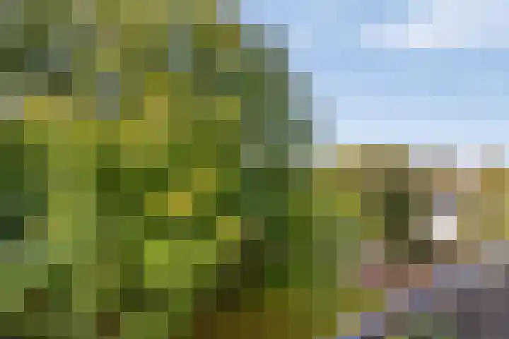 Savelsbos 20 Amsterdam thumbnail 18