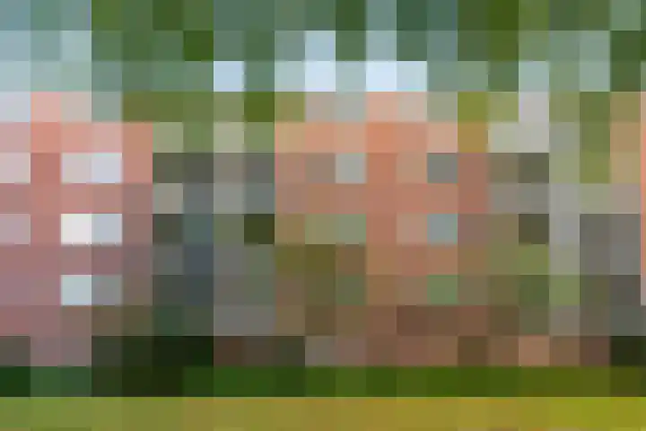 Savelsbos 20 Amsterdam thumbnail 20