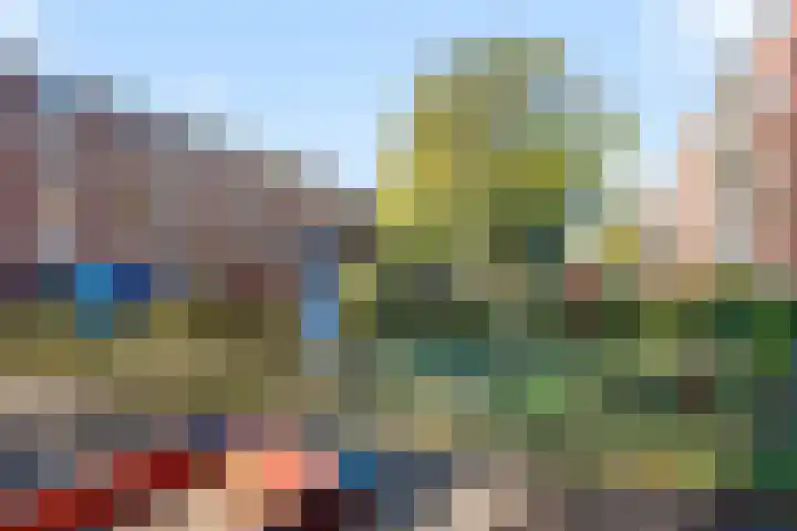 Savelsbos 20 Amsterdam thumbnail 22