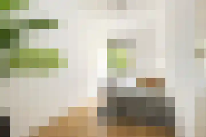 Savelsbos 20 Amsterdam thumbnail 8