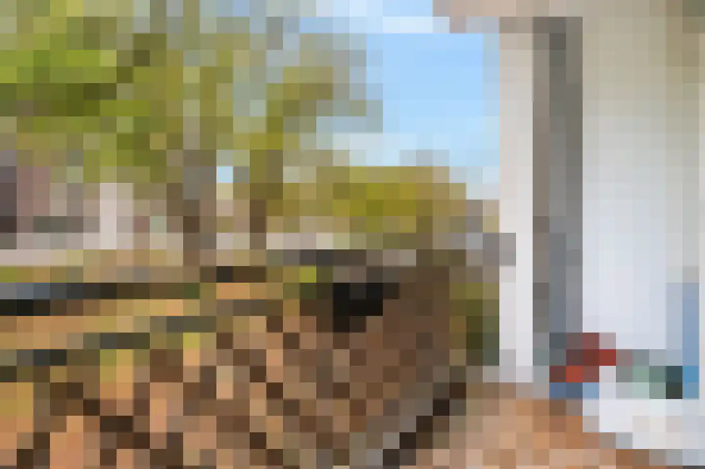 Savelsbos 22 Amsterdam thumbnail 25