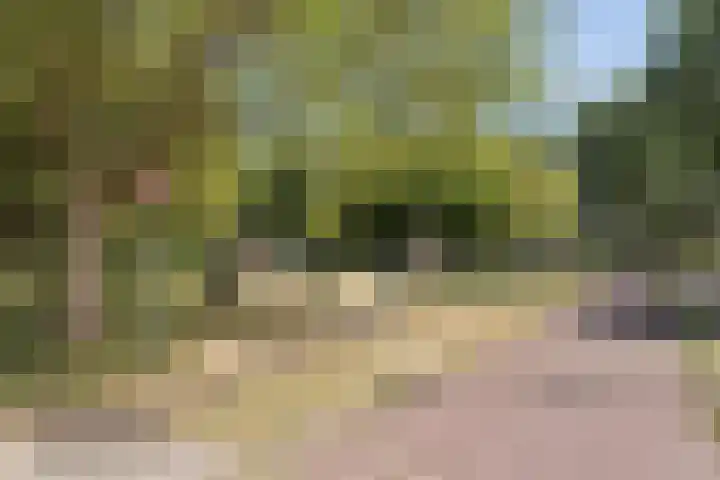 Savelsbos 23 Hoofddorp thumbnail 17
