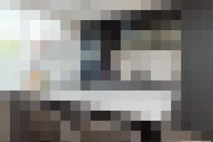 Savelsbos 23 Hoofddorp thumbnail 9