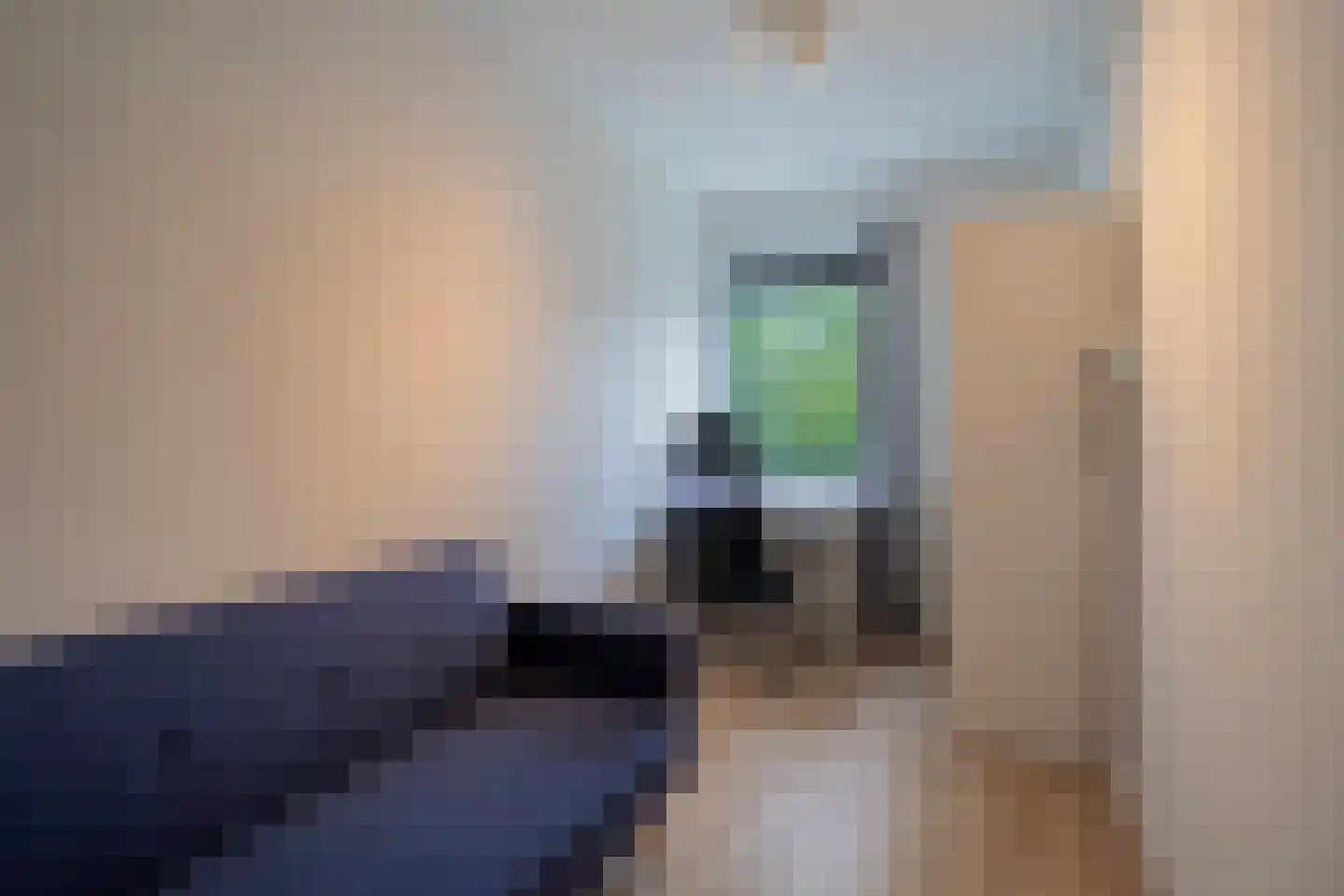 Savelsbos 44 Amsterdam thumbnail 22