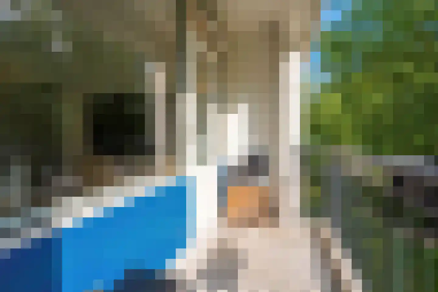 Savelsbos 44 Amsterdam thumbnail 27