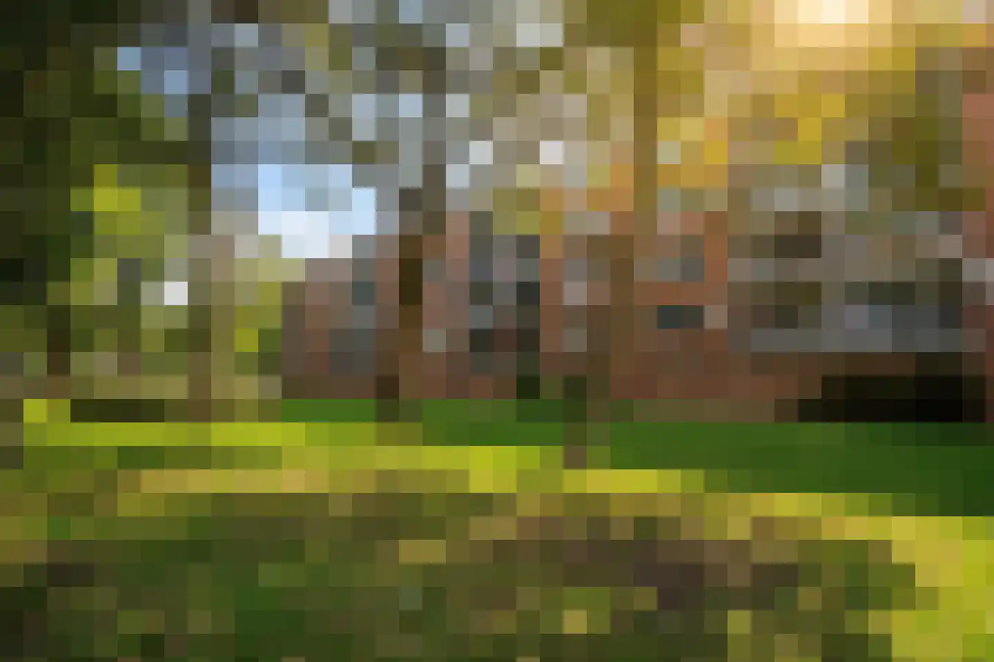 Savelsbos 44 Amsterdam thumbnail 28