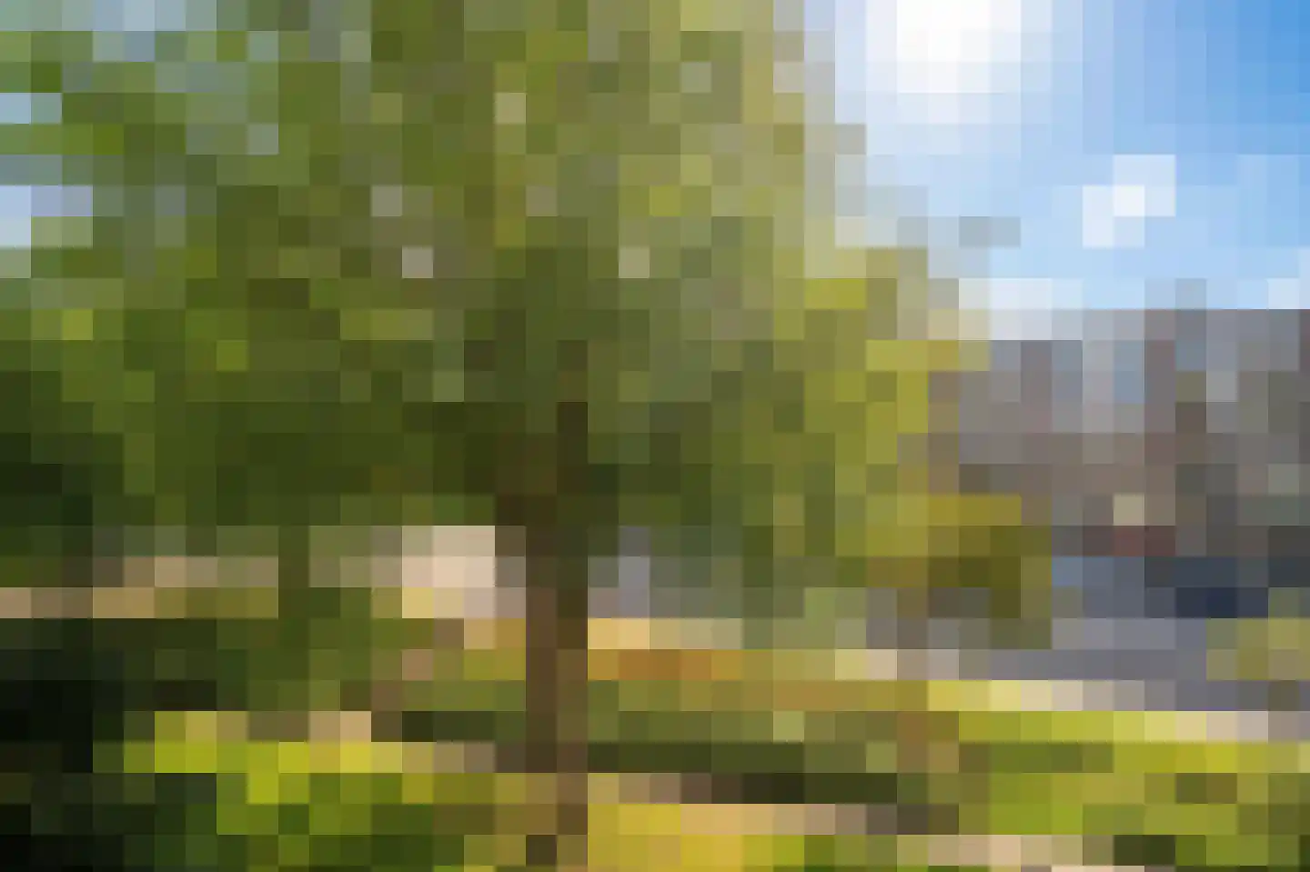 Savelsbos 44 Amsterdam thumbnail 30