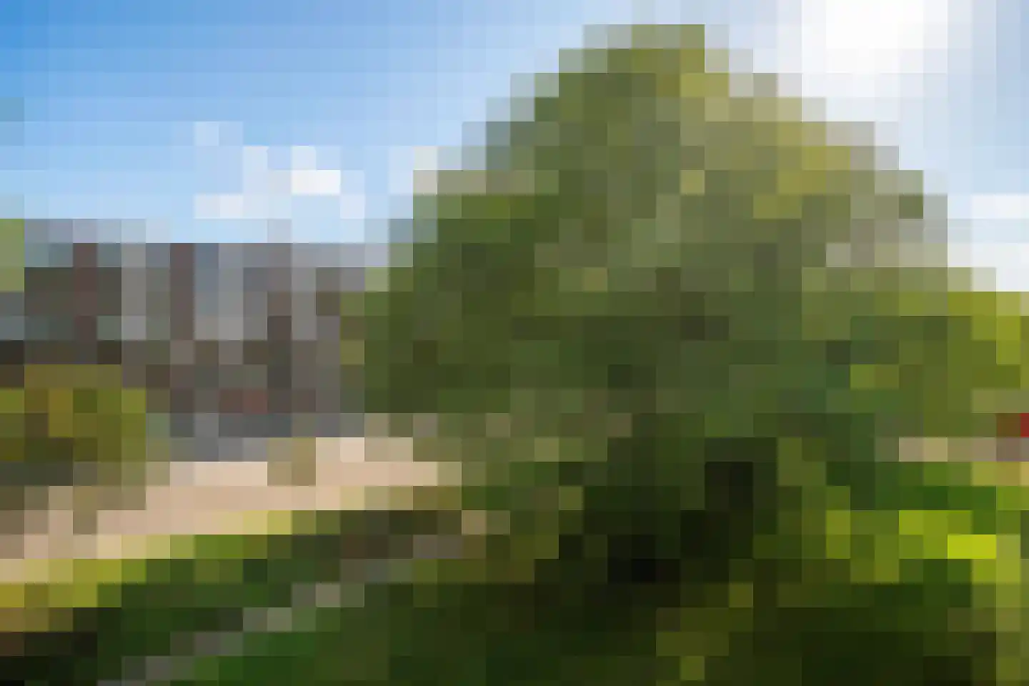 Savelsbos 44 Amsterdam thumbnail 34