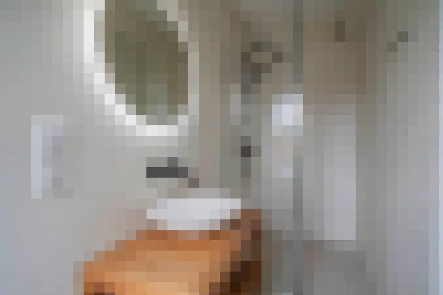 Savelsbos 44 Amsterdam thumbnail 7