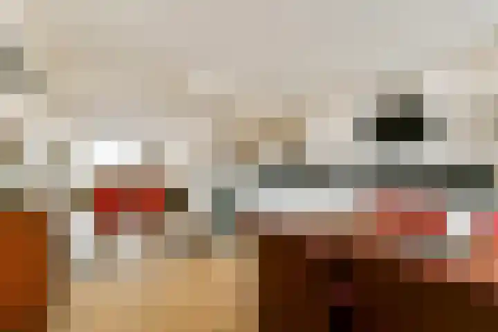 Savelsbos 47 Hoofddorp thumbnail 7