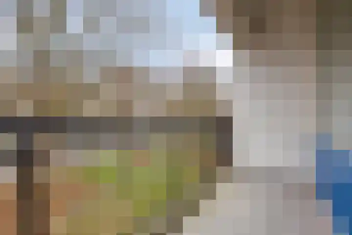 Savelsbos 56 Amsterdam thumbnail 5