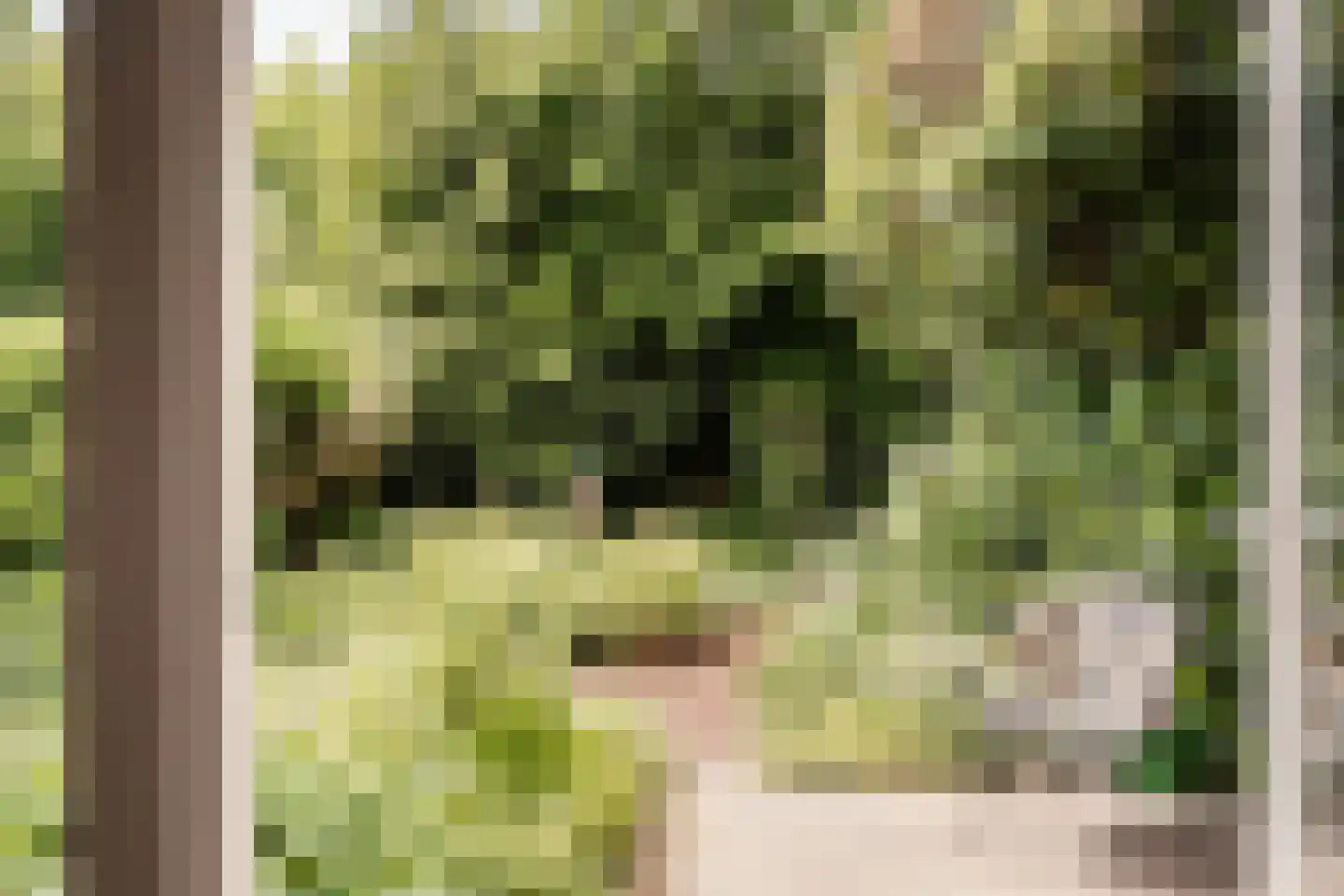 Savelsbos 60 Hoofddorp thumbnail 12