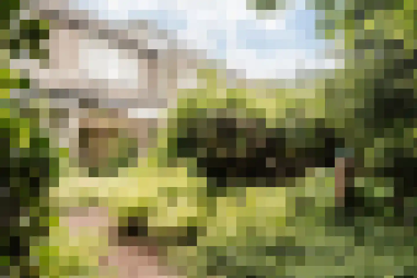 Savelsbos 60 Hoofddorp thumbnail 14