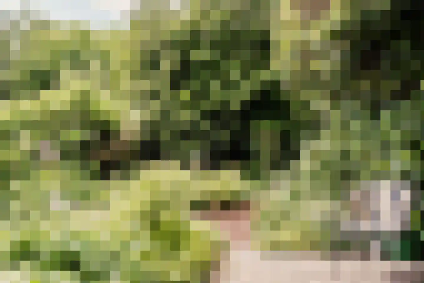 Savelsbos 60 Hoofddorp thumbnail 15