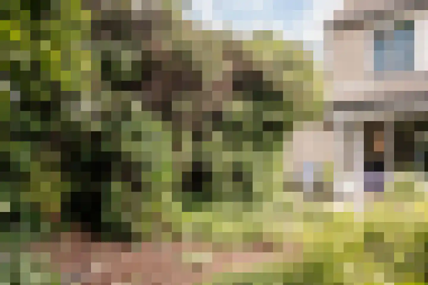 Savelsbos 60 Hoofddorp thumbnail 16