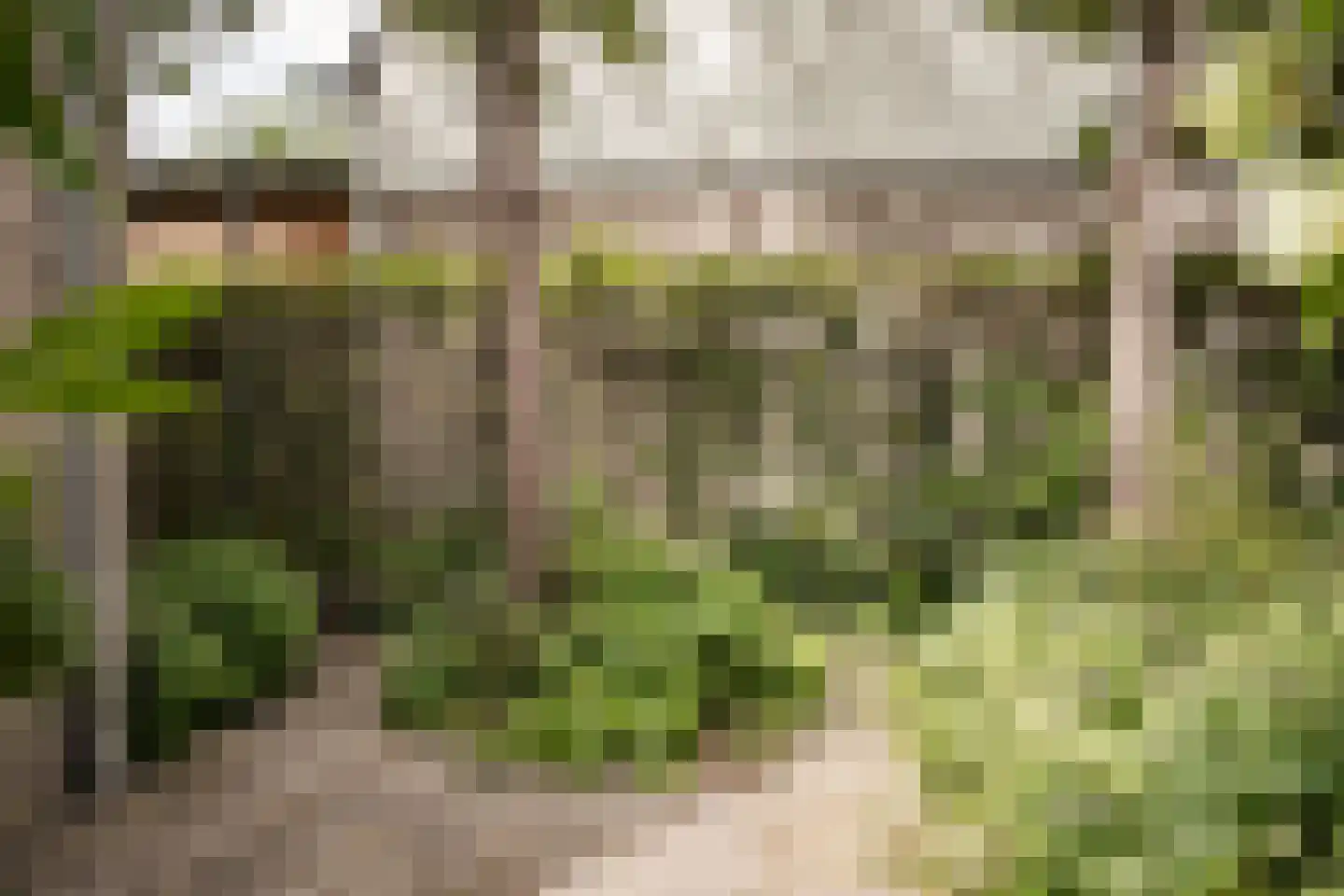 Savelsbos 60 Hoofddorp thumbnail 17