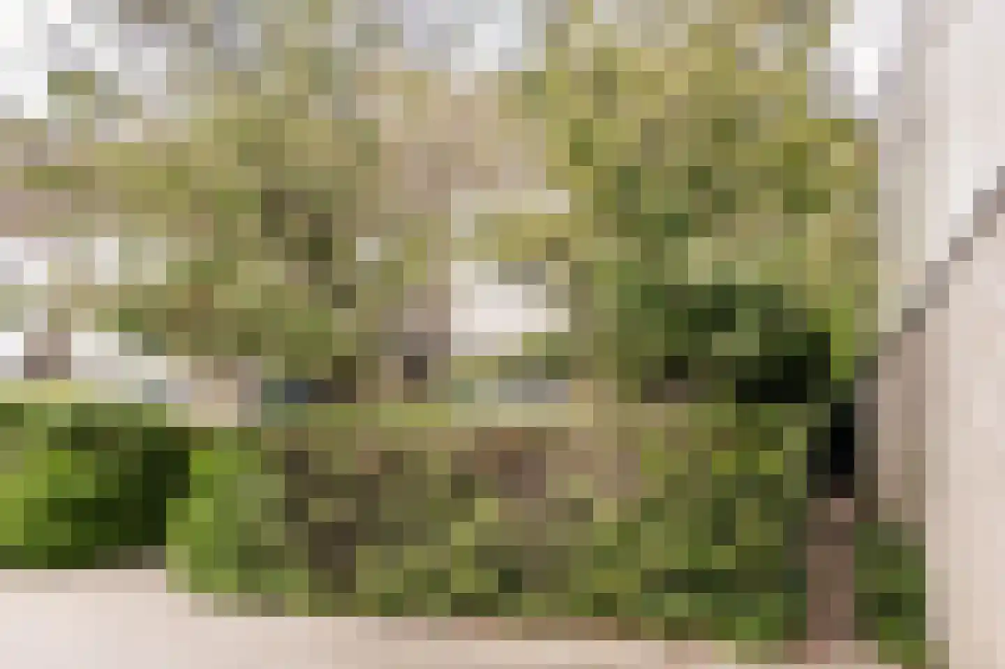 Savelsbos 60 Hoofddorp thumbnail 29