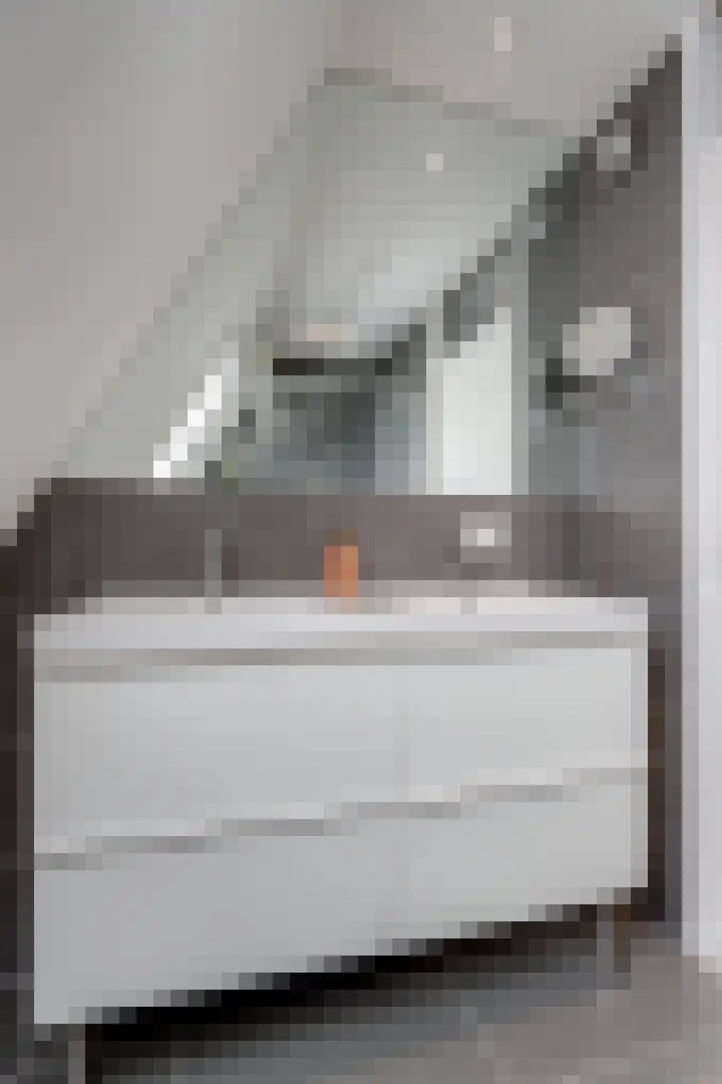 Savelsbos 74 Hoofddorp thumbnail 28