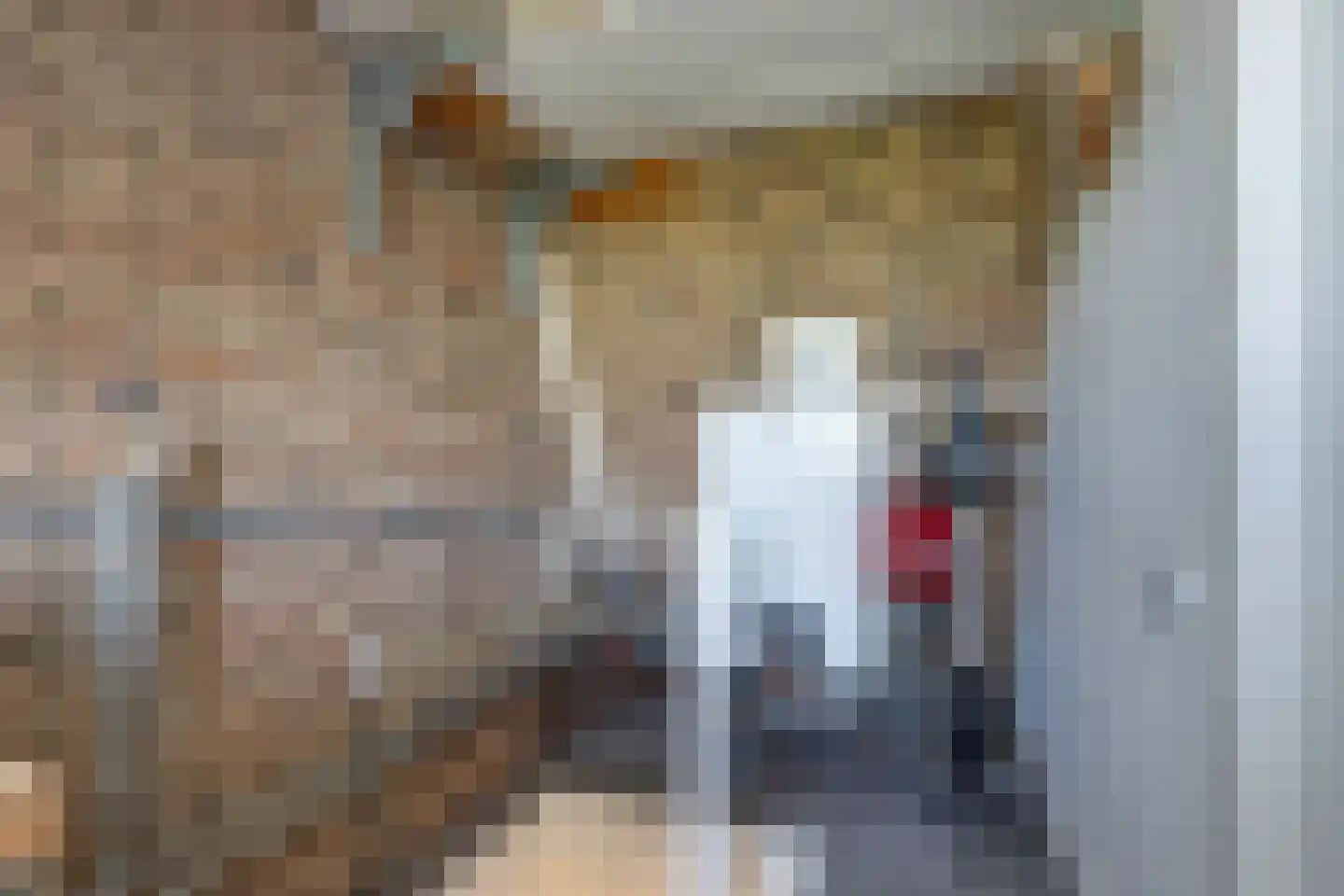 Savelsbos 74 Hoofddorp thumbnail 31