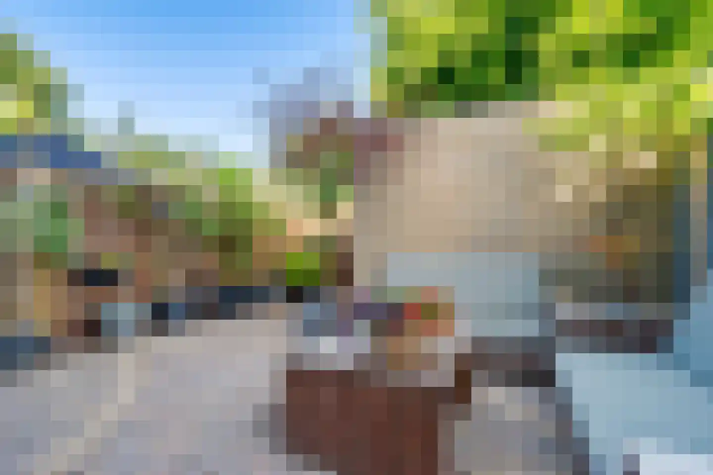 Savelsbos 74 Hoofddorp thumbnail 36