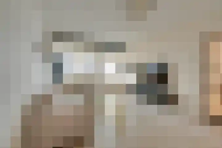 Savelsbos 9 Amsterdam thumbnail 11