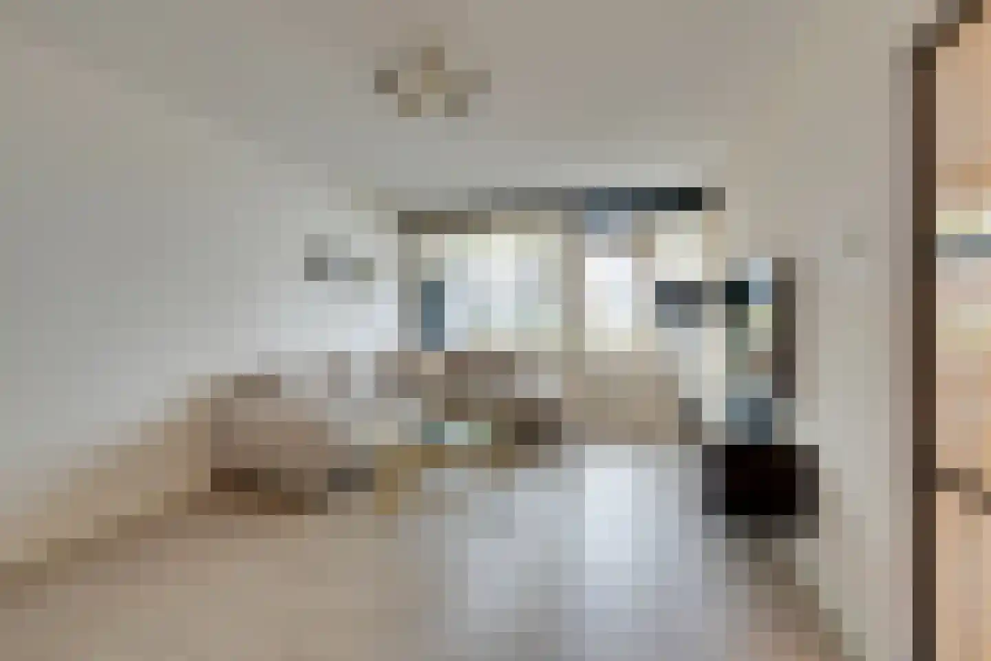Savelsbos 9 Amsterdam thumbnail 11