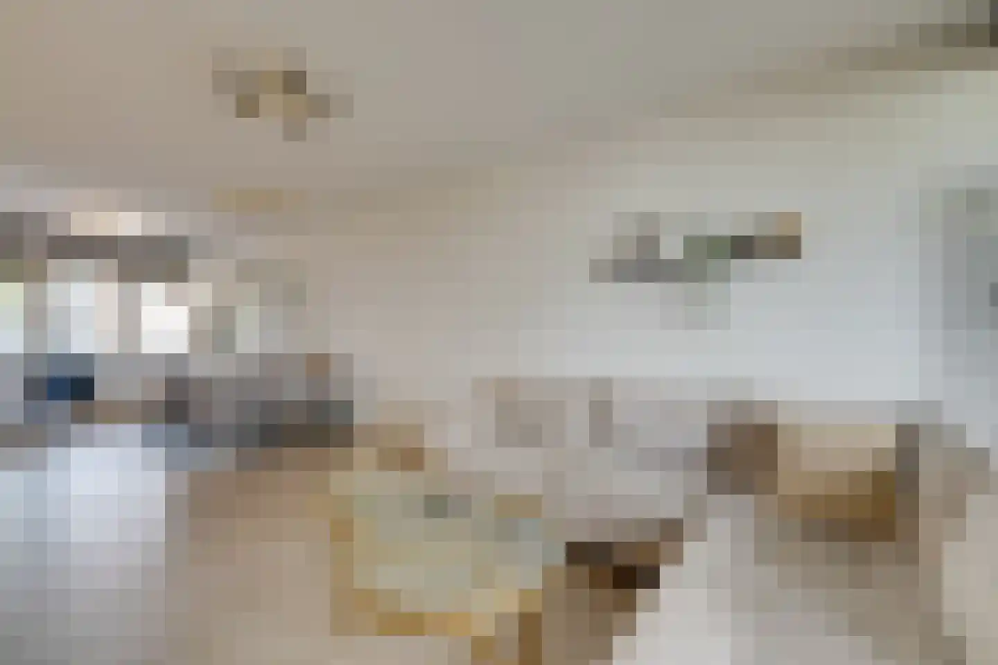 Savelsbos 9 Amsterdam thumbnail 15