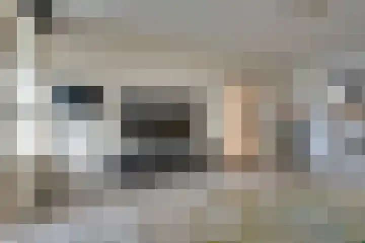Savelsbos 9 Amsterdam thumbnail 16