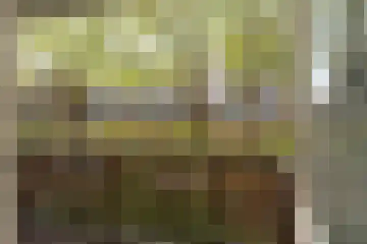 Savelsbos 9 Amsterdam thumbnail 25