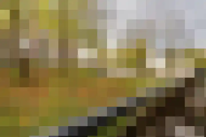 Savelsbos 9 Amsterdam thumbnail 28