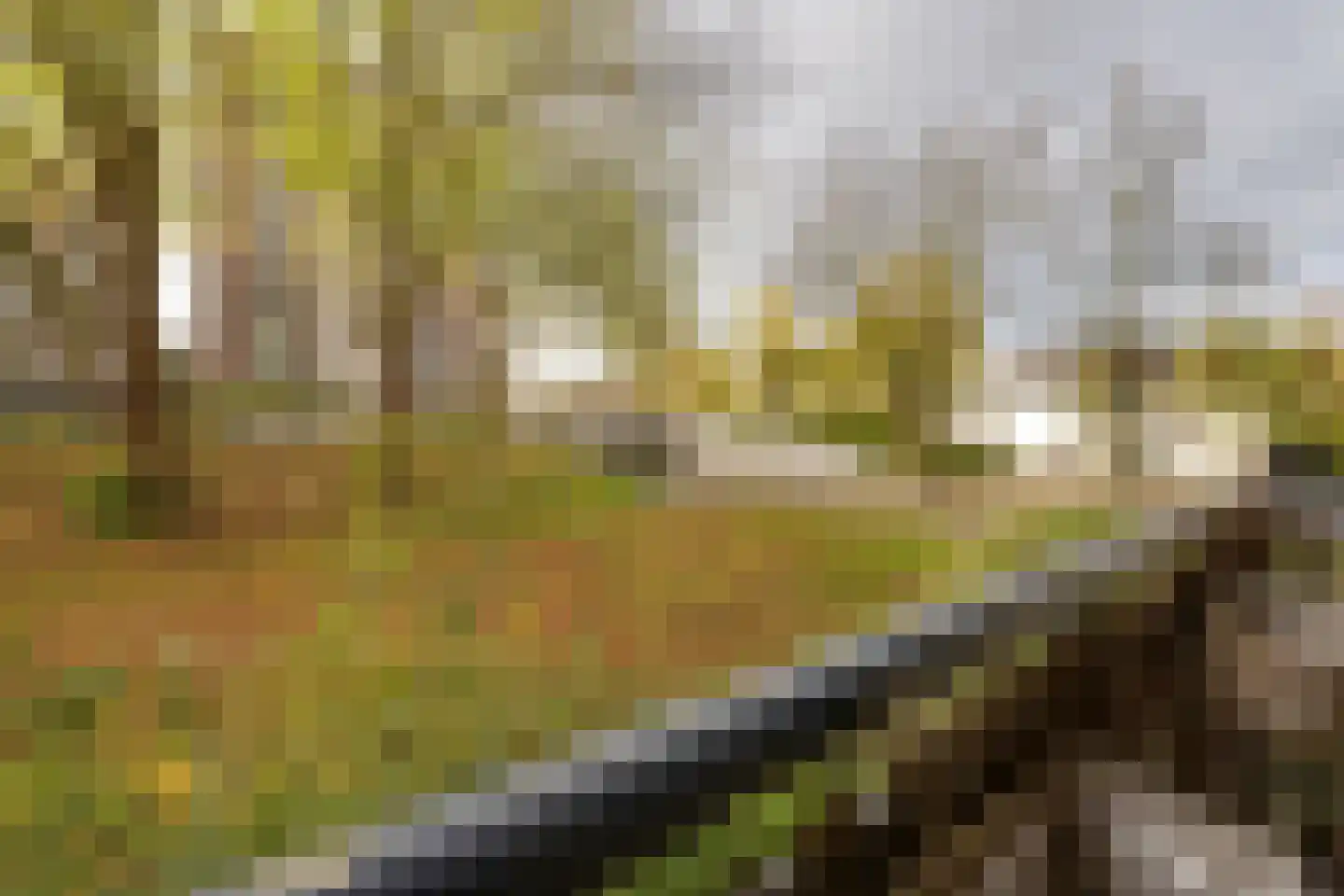 Savelsbos 9 Amsterdam thumbnail 28