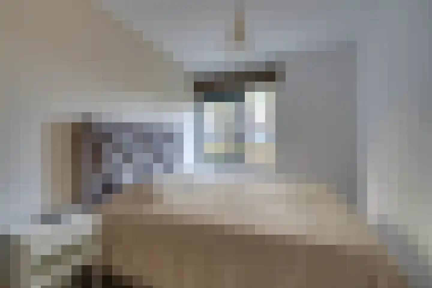 Savelsbos 9 Amsterdam thumbnail 30