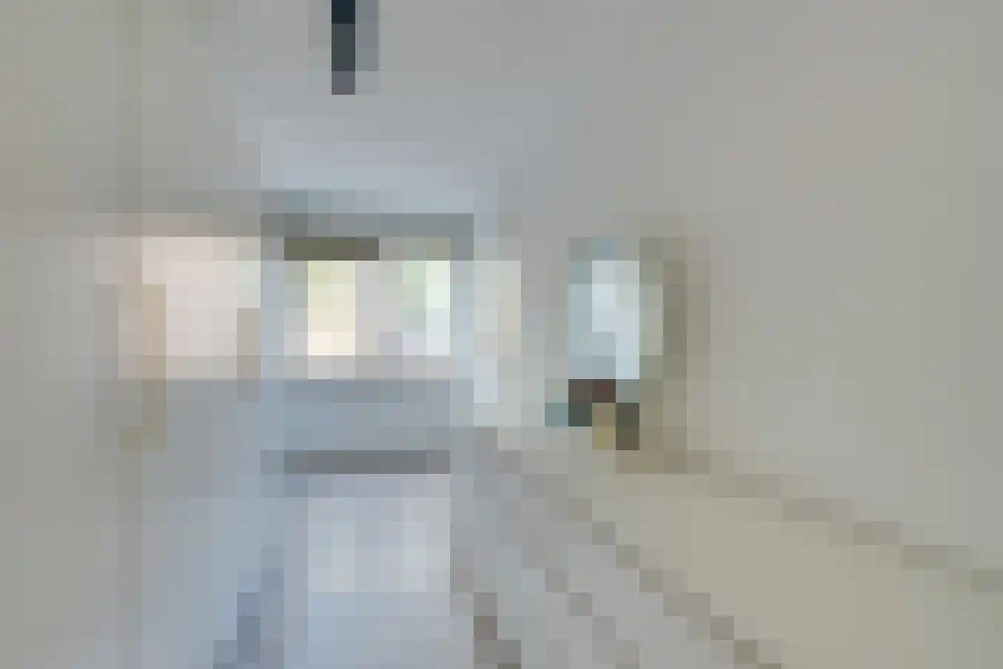 Savelsbos 9 Amsterdam thumbnail 36