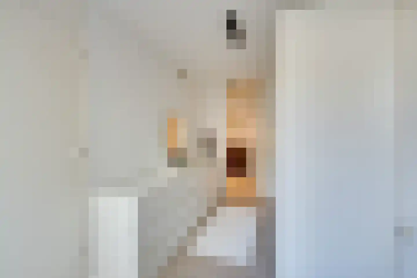Savelsbos 9 Amsterdam thumbnail 38