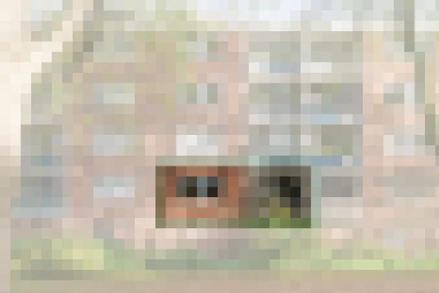 Savelsbos 9 Amsterdam thumbnail 4