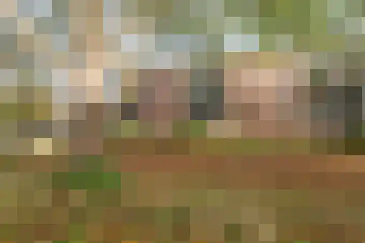 Savelsbos 9 Amsterdam thumbnail 5