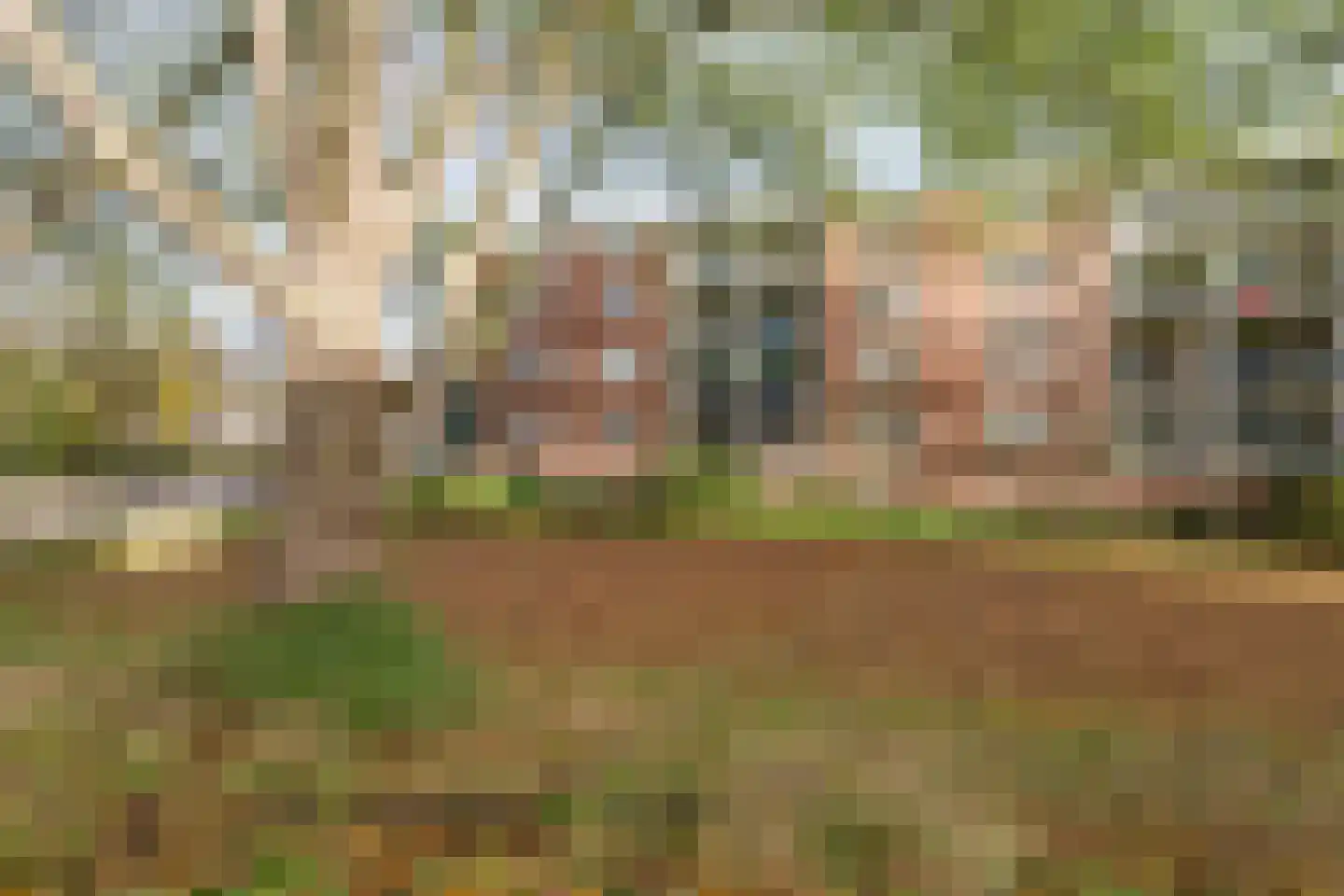 Savelsbos 9 Amsterdam thumbnail 6