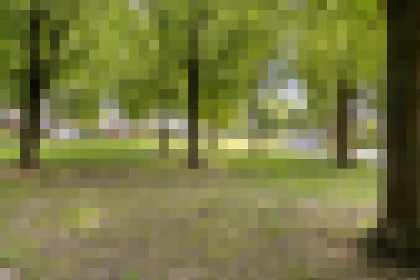 Savelsbosch 16 Maastricht thumbnail 64