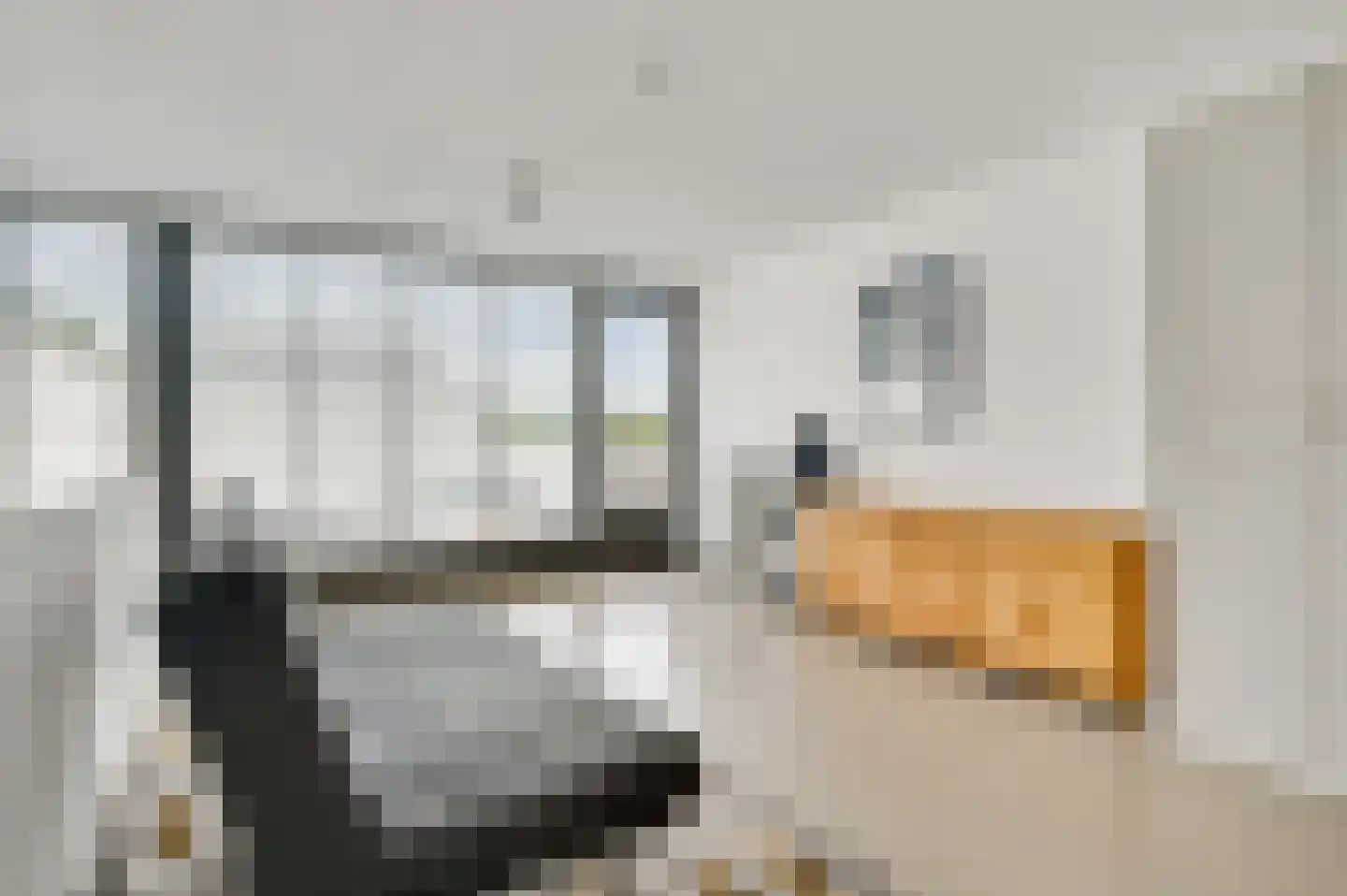 Savelsbosch 23 Maastricht thumbnail 17