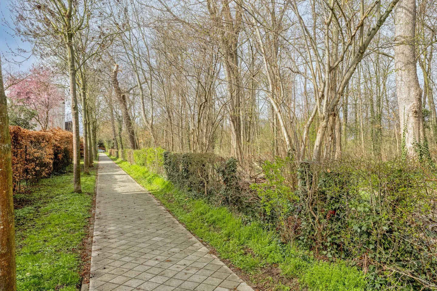 Savelsbosch 25 Maastricht thumbnail 50