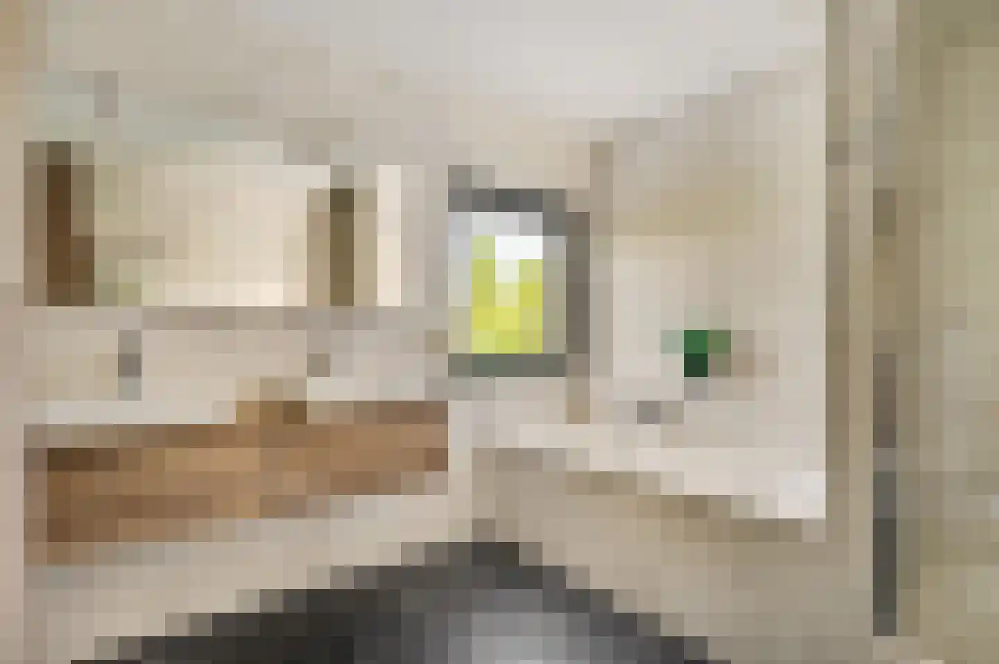 Savelsbosch 38 Maastricht thumbnail 14