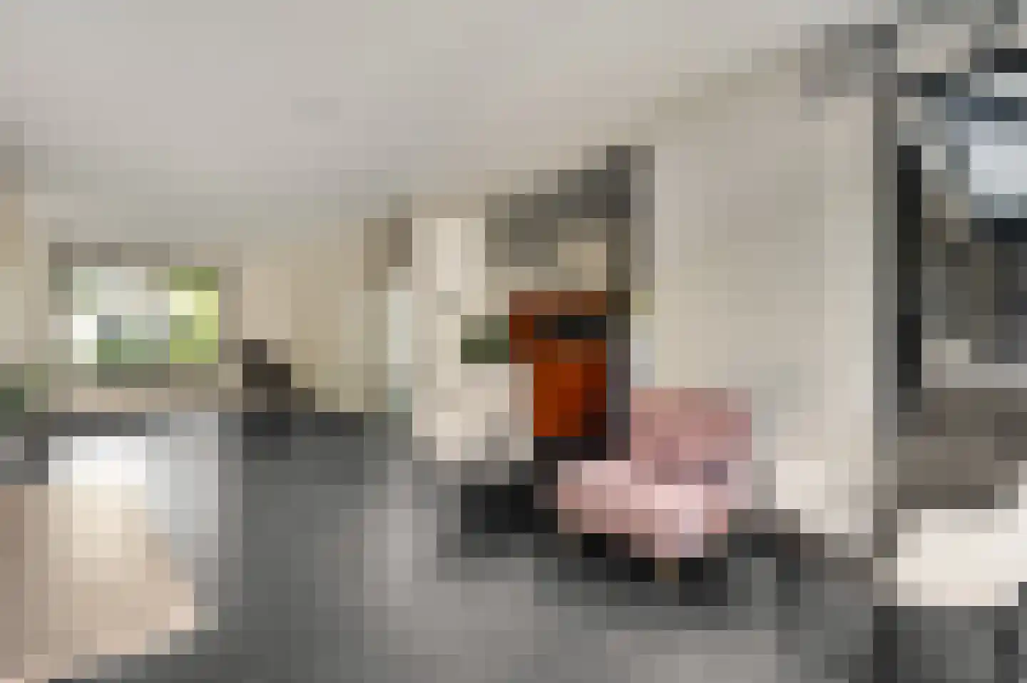 Savelsbosch 38 Maastricht thumbnail 8