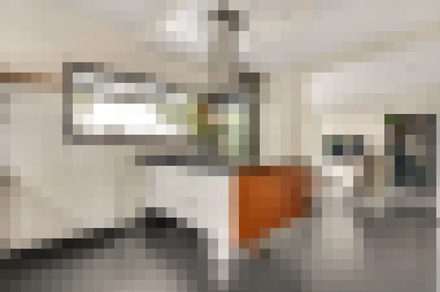 Savelsbosch 38 Maastricht thumbnail 9