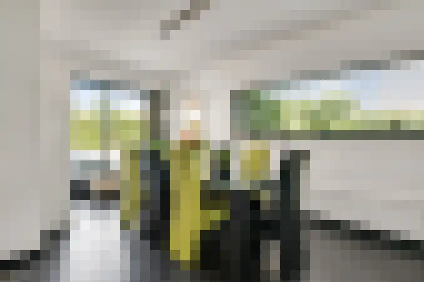Savelsbosch 40 Maastricht thumbnail 8