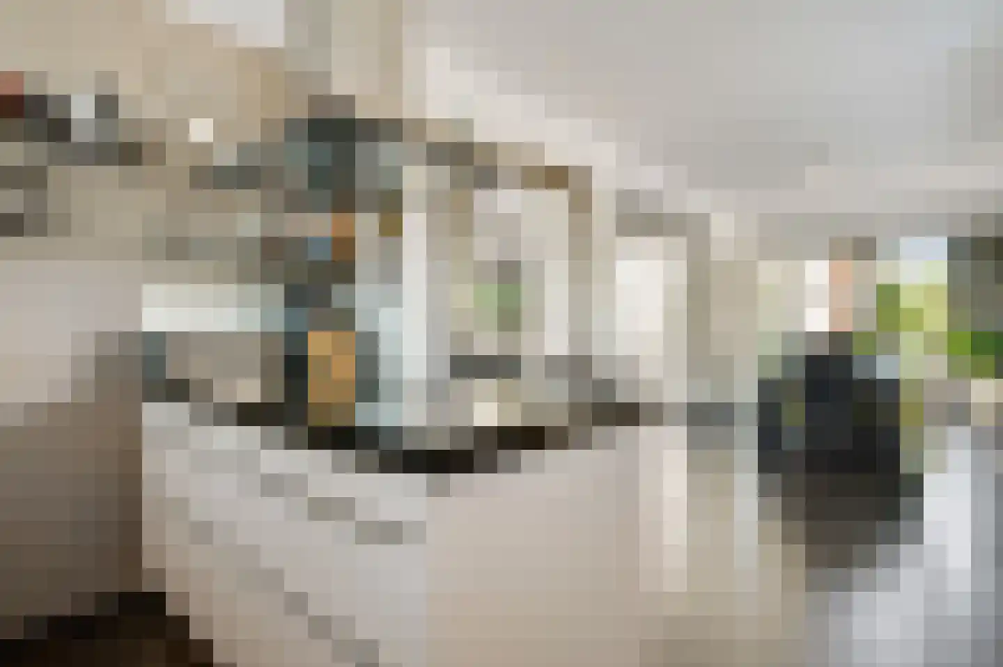 Savelsbosch 40 Maastricht thumbnail 9