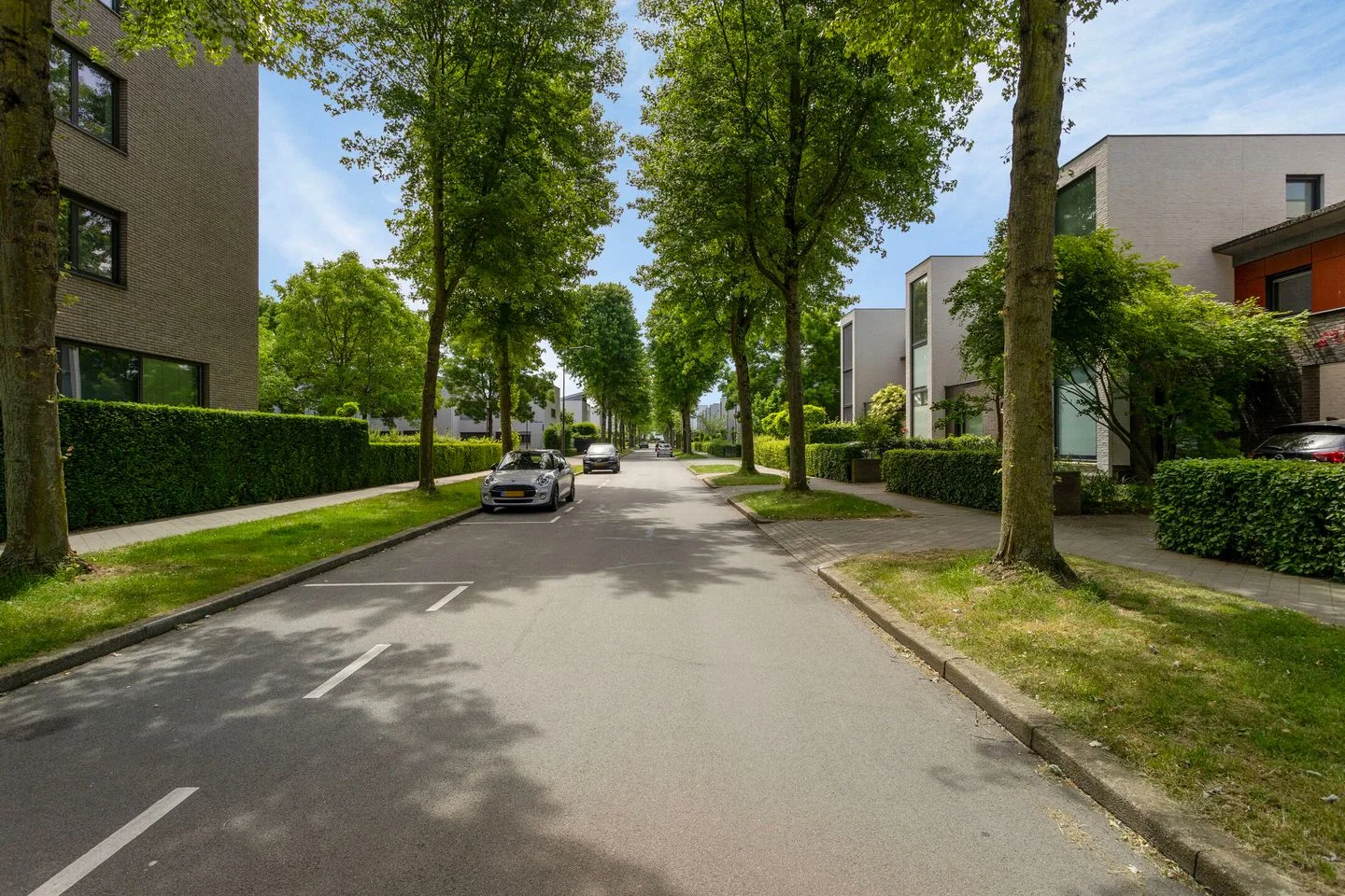 Savelsbosch 44 Maastricht thumbnail 55