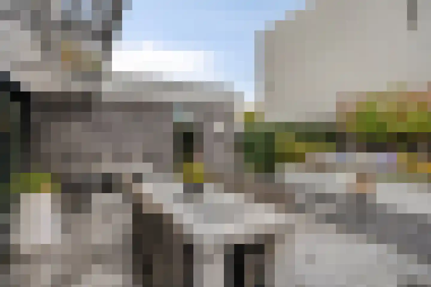 Savelsbosch 45 Maastricht thumbnail 38