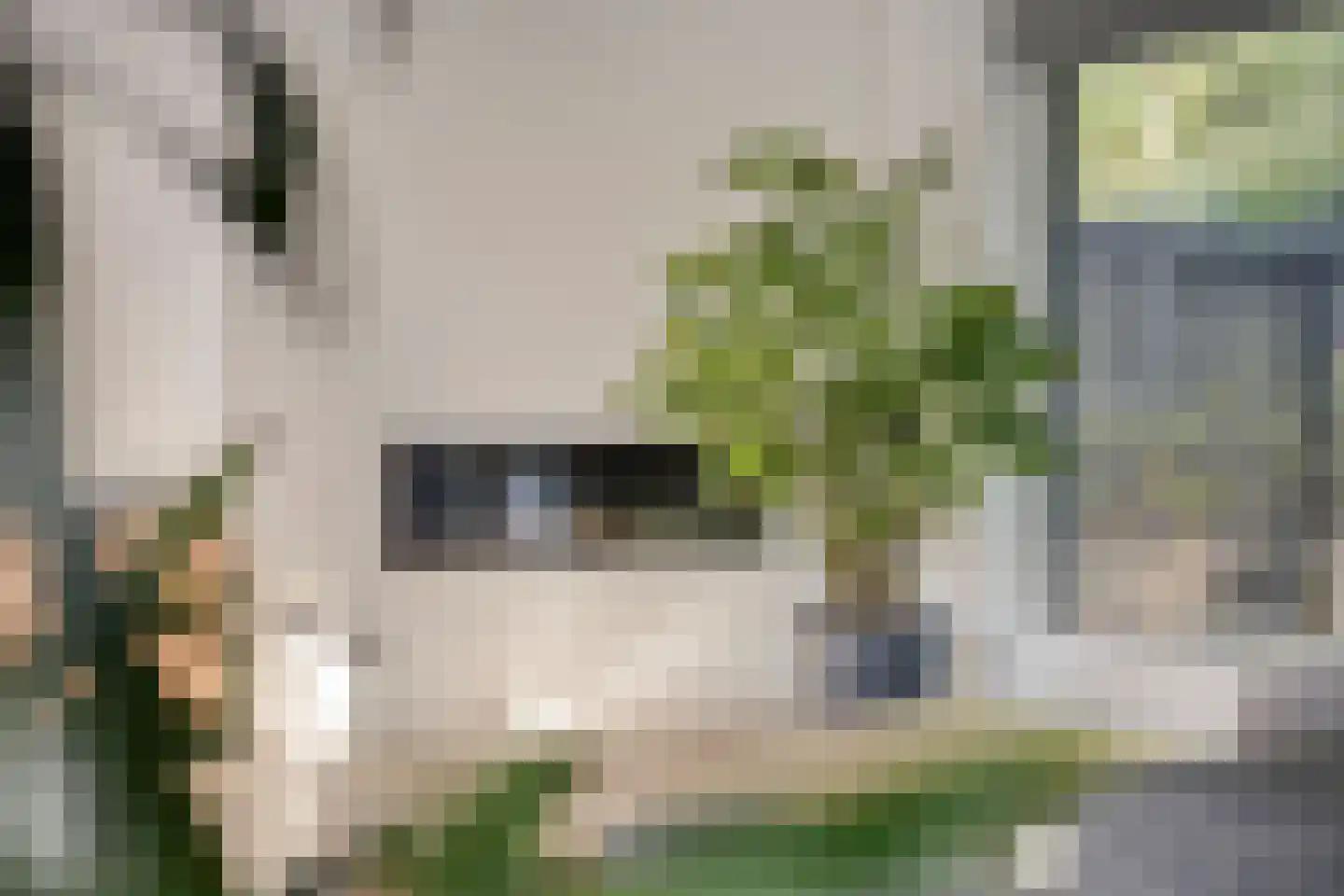 Savelsbosch 45 Maastricht thumbnail 8