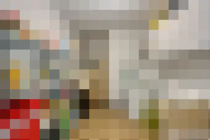 Savelveld 18 Stramproy thumbnail 14